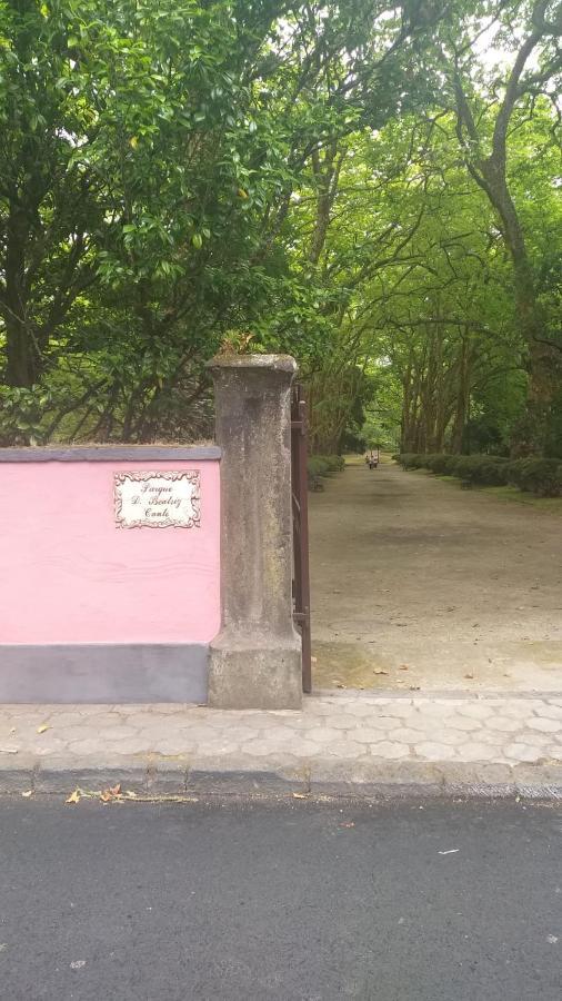 A Vista Dos Verdes Фурнаш Номер фото